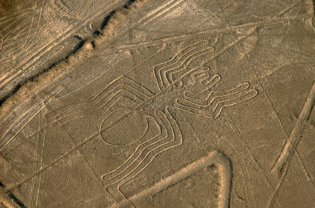 Nazca Lines Spider taken on an overflight tour