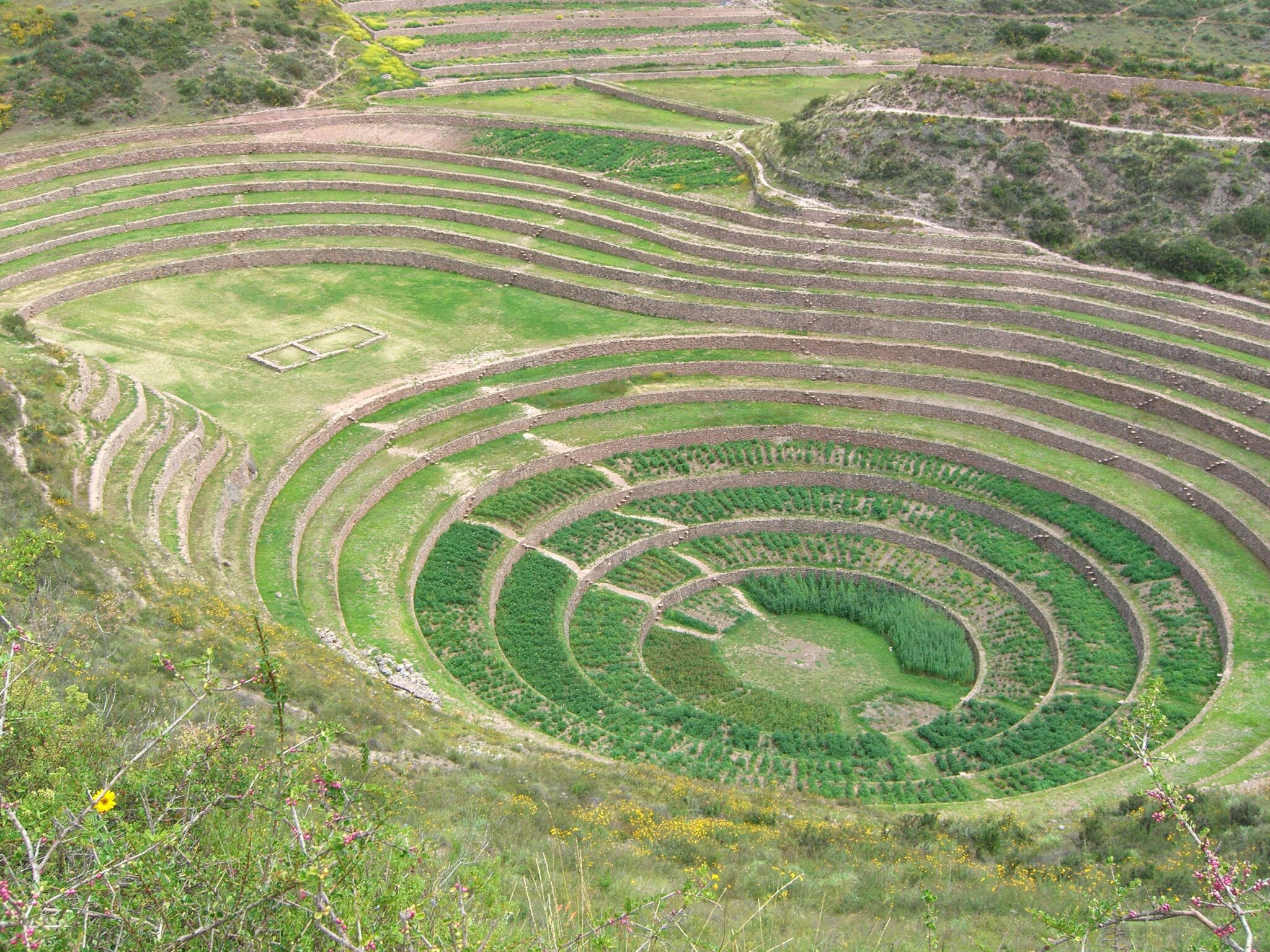 MORAY