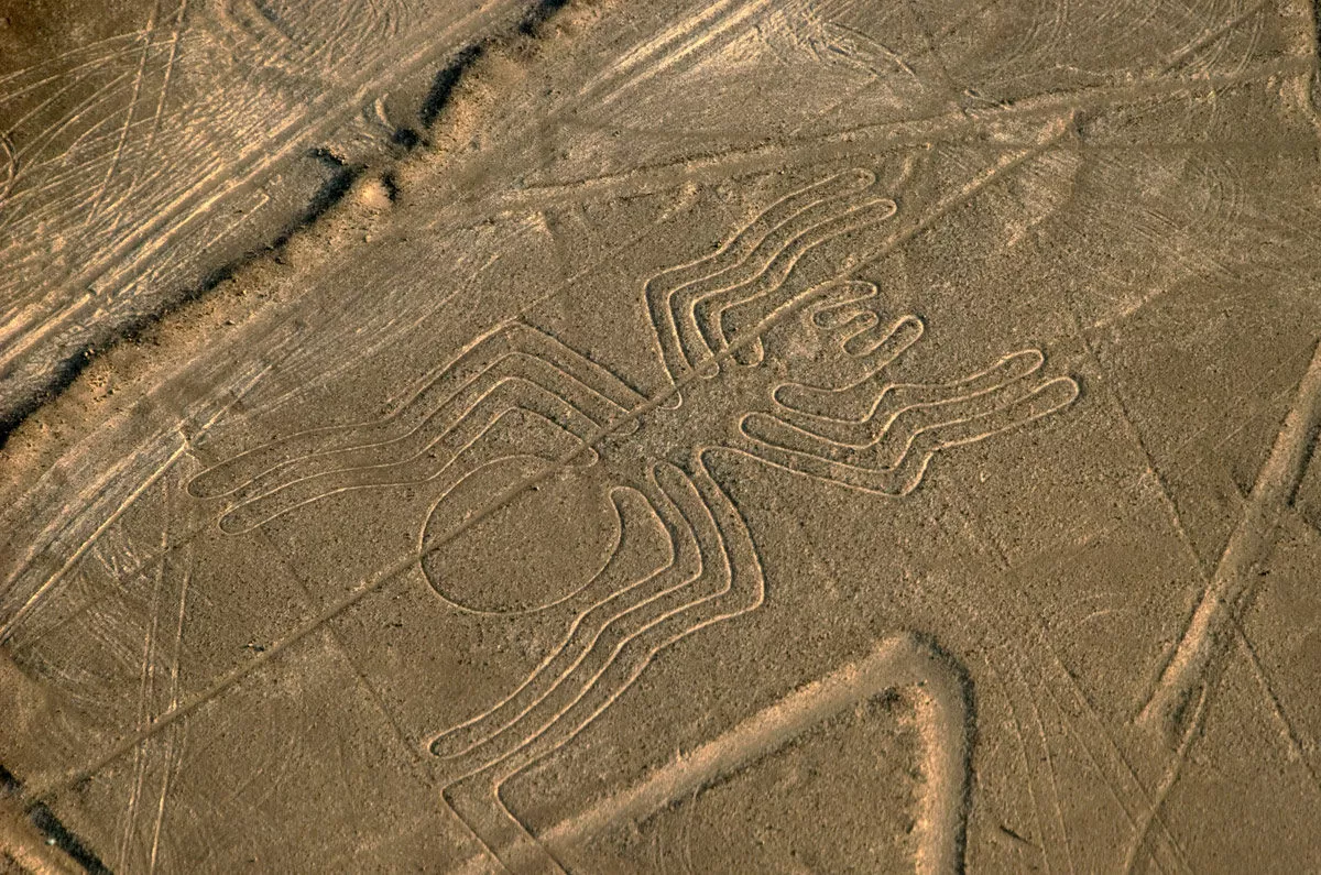 Nazca-Lines-Spider-e1489688170203